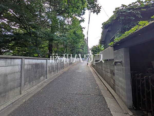 前面道路は南道路幅員4ｍとなっております。 南道路なので日当たり良好です♪