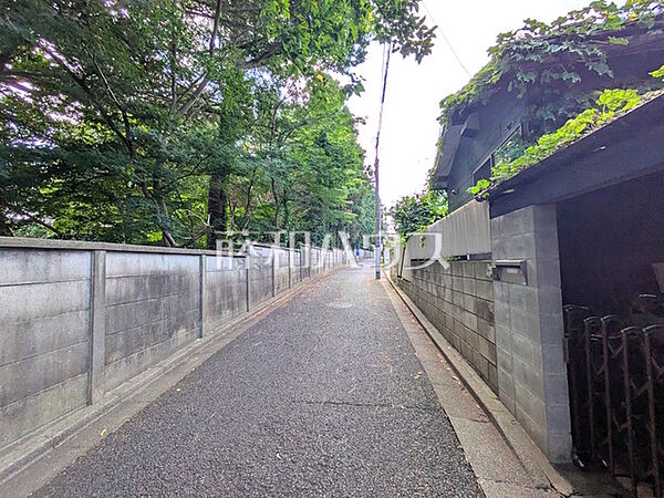 前面道路は南道路幅員4ｍとなっております。 南道路なので日当たり良好です♪