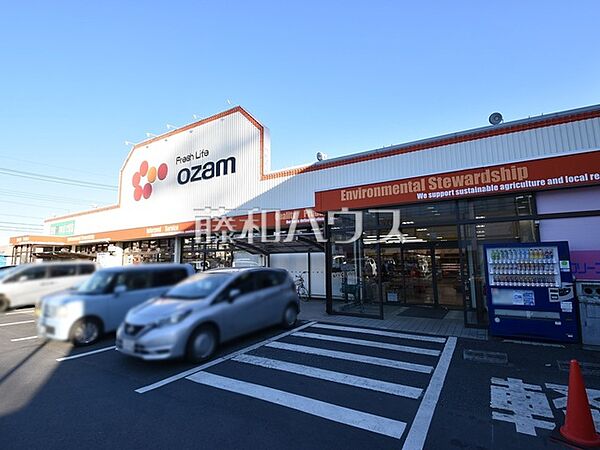 スーパーオザムけやき台店 (1150m)