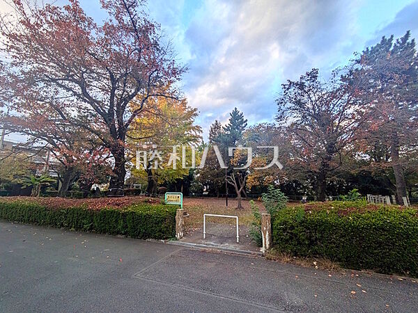 矢の山公園 (620m)