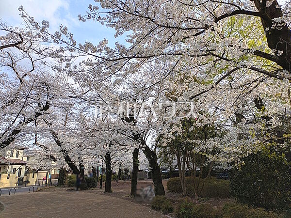 大野田公園 (580m)