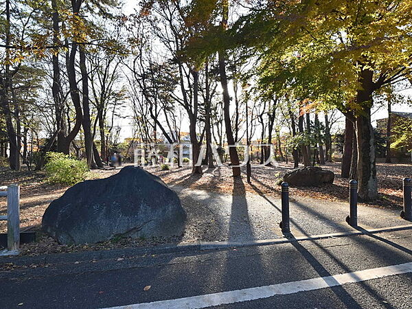 野鳥の森公園 (700m)