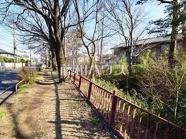 玉川上水散歩道 (540m)