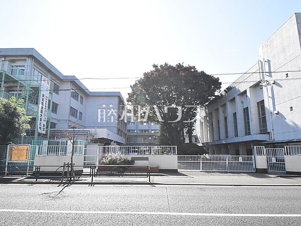練馬区立関中学校 (440m)
