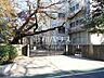 周辺：練馬区立上石神井小学校 (540m)