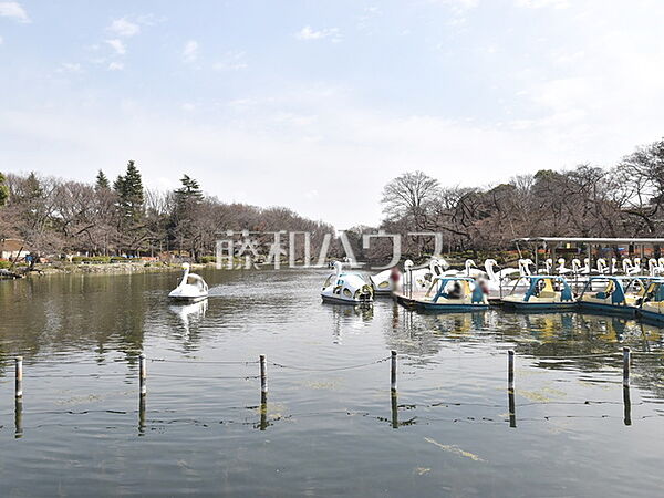 井の頭恩賜公園 (330m)