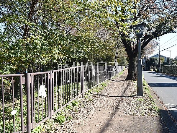 上水桜通RI貫井北町付近 (350m)