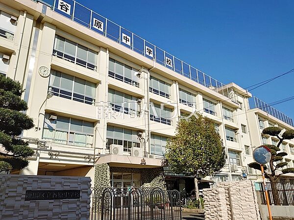 練馬区立谷原中学校 (490m)