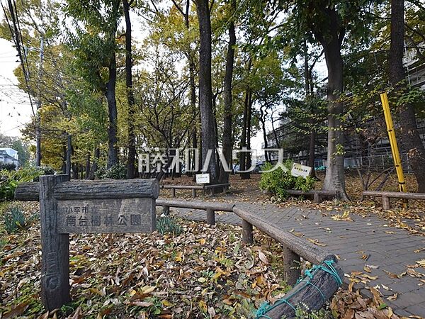 南台樹林公園 (740m)