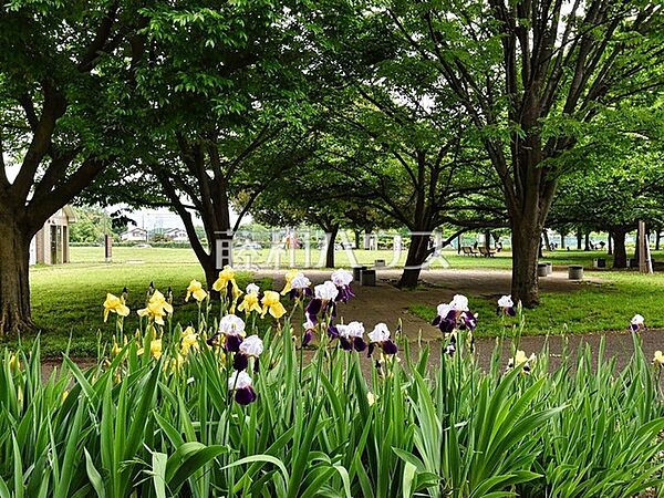 都立六仙公園 (570m)