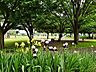 周辺：都立六仙公園 (570m)