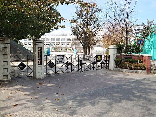 練馬区立石神井東小学校 (570m)