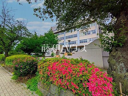 武蔵野市立第四中学校 (1250m)