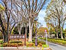 周辺：小金井公園 (590m)