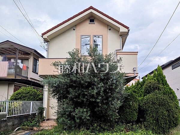 外観：313004932388