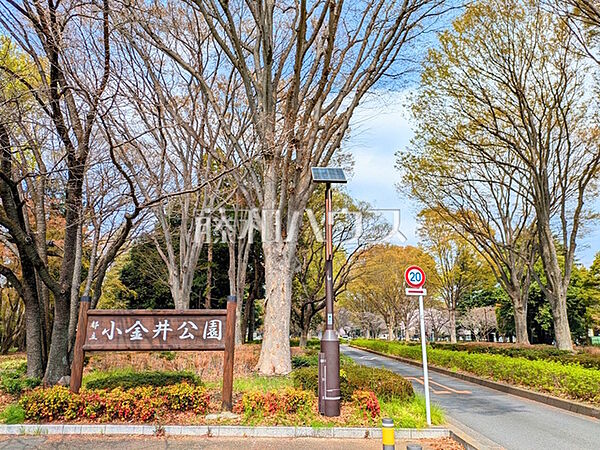 小金井公園 (1180m)