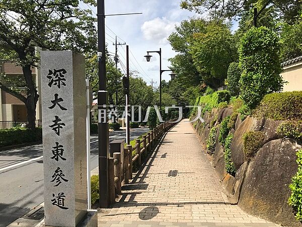 深大寺東参道 (700m)