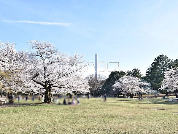 都立光が丘公園 (690m)