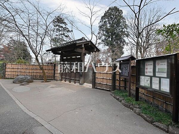 新座睡足軒の森 (1740m)