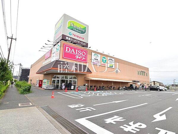 TAIRAYA 武蔵村山店 (1140m)