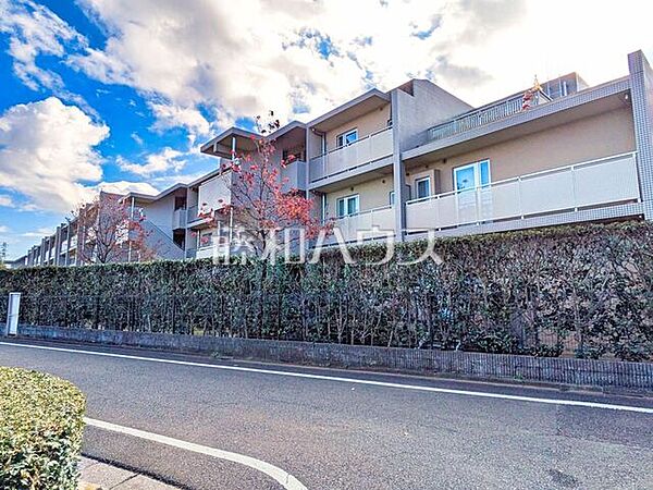 外観：313004675730