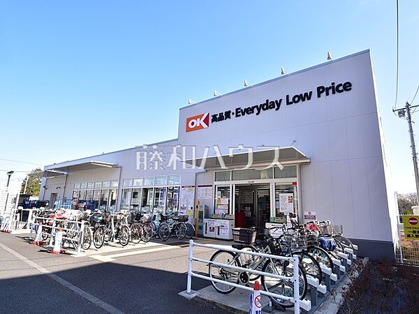 オーケー西国分寺店 (1300m)