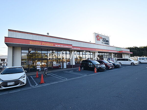 スーパーオザムラーレ東村山店 (650m)