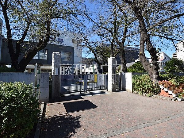 小金井市立小金井第一小学校 (550m)