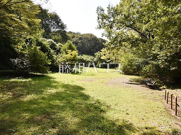さかい公園 (910m)