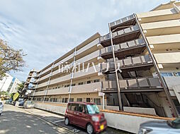 豊栄アンバサダー調布