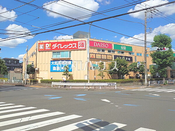 ダイレックス立川幸町 (880m)