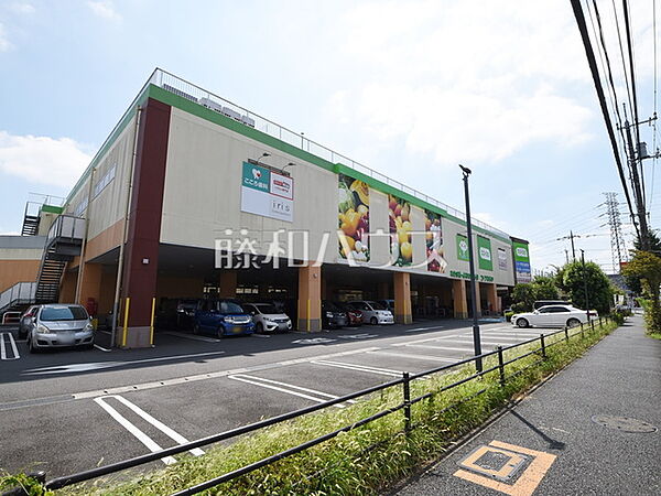 コープみらい コープ花小金井店 (1520m)