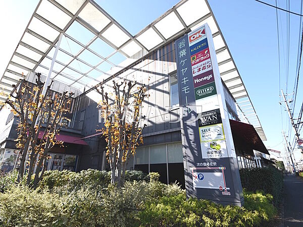 若葉ケヤキモール (1180m)