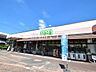 周辺：コープみらい コープ弁天通り店 (520m)