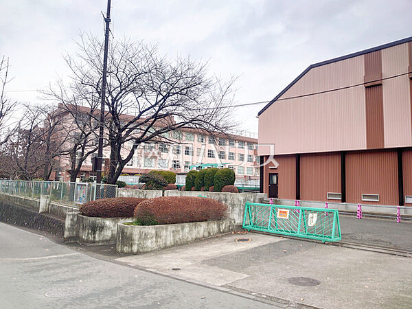 八王子市立柏木小学校 (970m)