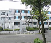 アベニューエンジュ 1階 築36年3ヶ月の賃貸物件