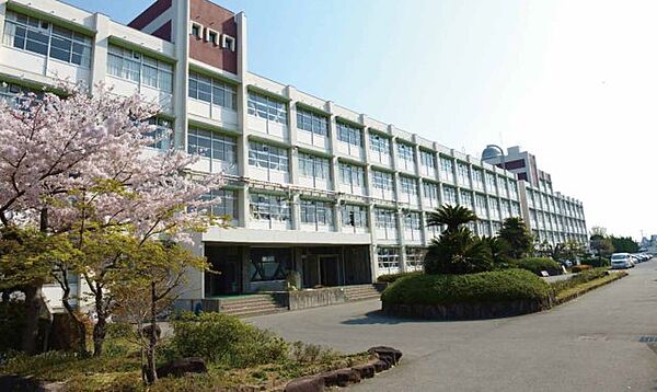 画像4:兵庫県立姫路南高等学校