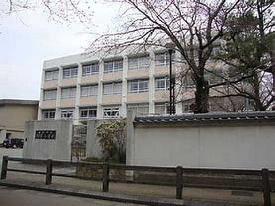 画像16:姫路市立野里小学校