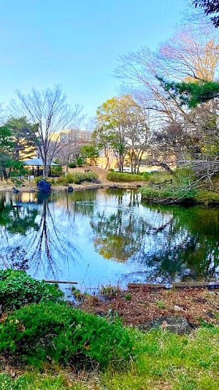 東中野公園