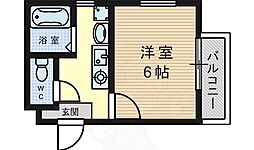 カーサイヌミディーレ 2階/-