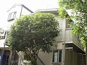 針中野駅より徒歩9分 1階 築43年2ヶ月の賃貸物件