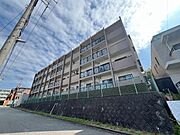 プリムベール向丘 4階 築30年8ヶ月の賃貸物件