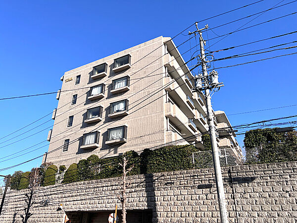 外観：314002816341