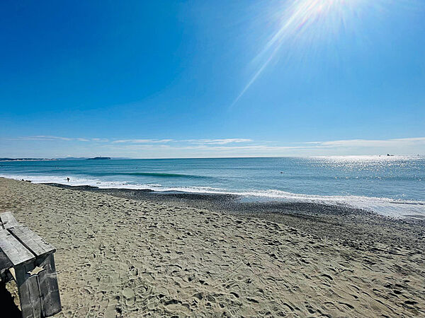近隣の海岸