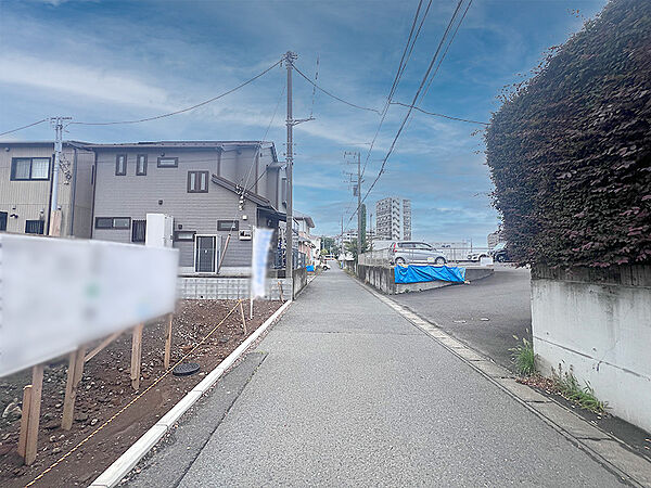 前面道路・分譲地全体