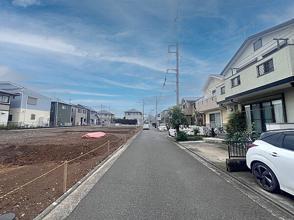前面道路・分譲地全体