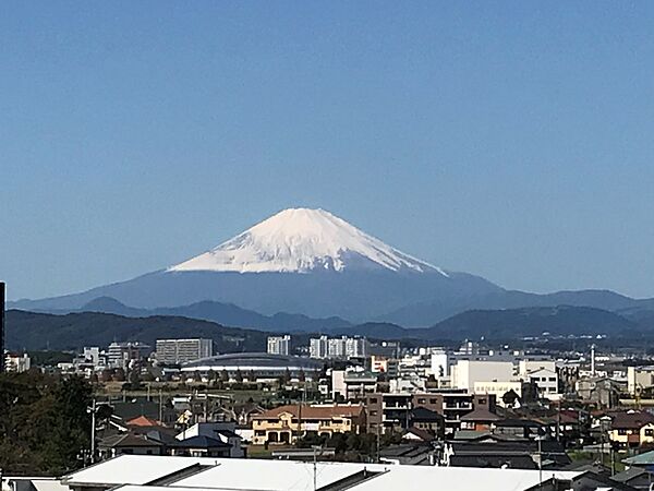 現地からの眺望