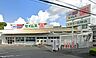 周辺：ドラッグセイムス横浜三枚店(521m)
