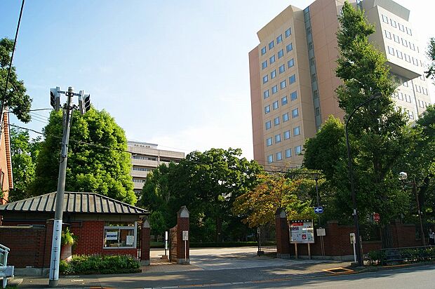 【大学】日本女子大学（目白キャンパス）まで822ｍ