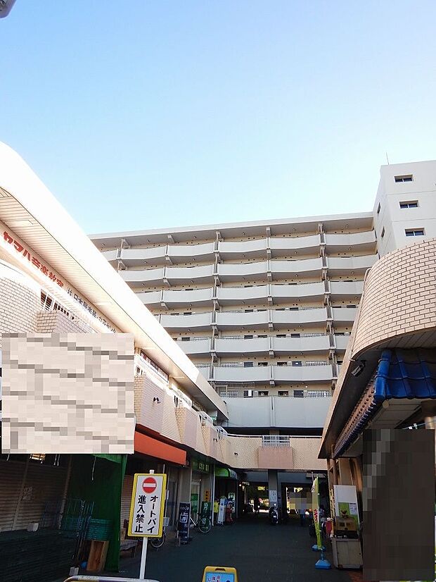 東武亀戸線 東あずま駅まで 徒歩7分(2LDK) 7階のその他画像